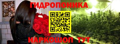 дмт Шахты