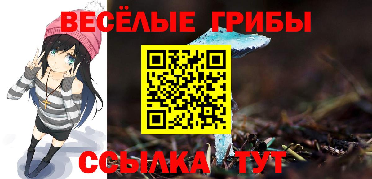 Краснокаменск  Псилоцибиновые грибы прущие грибы  Галлюциногенные грибы Magic Shrooms  Вход с VPN 